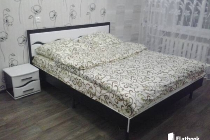 Vip-квартира на сутки в Борисове, центр, WiFi