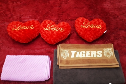 Центр Борисова остановка Автовокзал. Рядом  ПЕЧИ